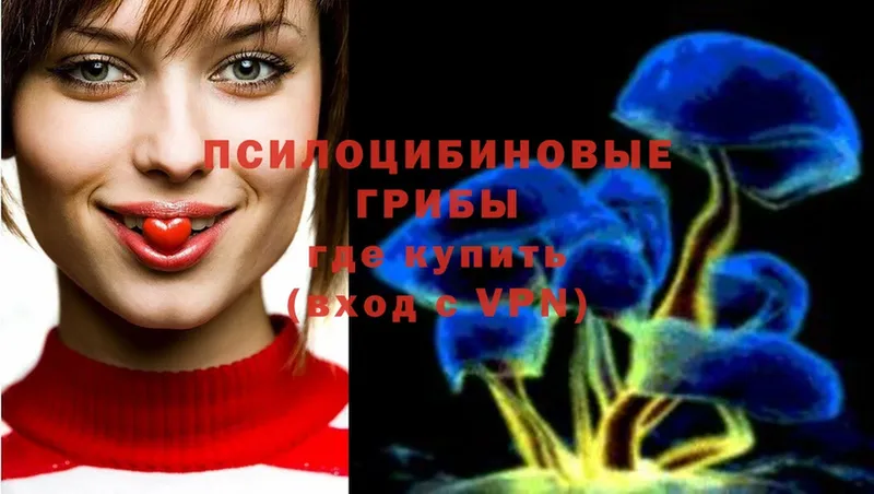 Галлюциногенные грибы Magic Shrooms  Бежецк 